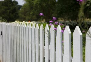 fence 